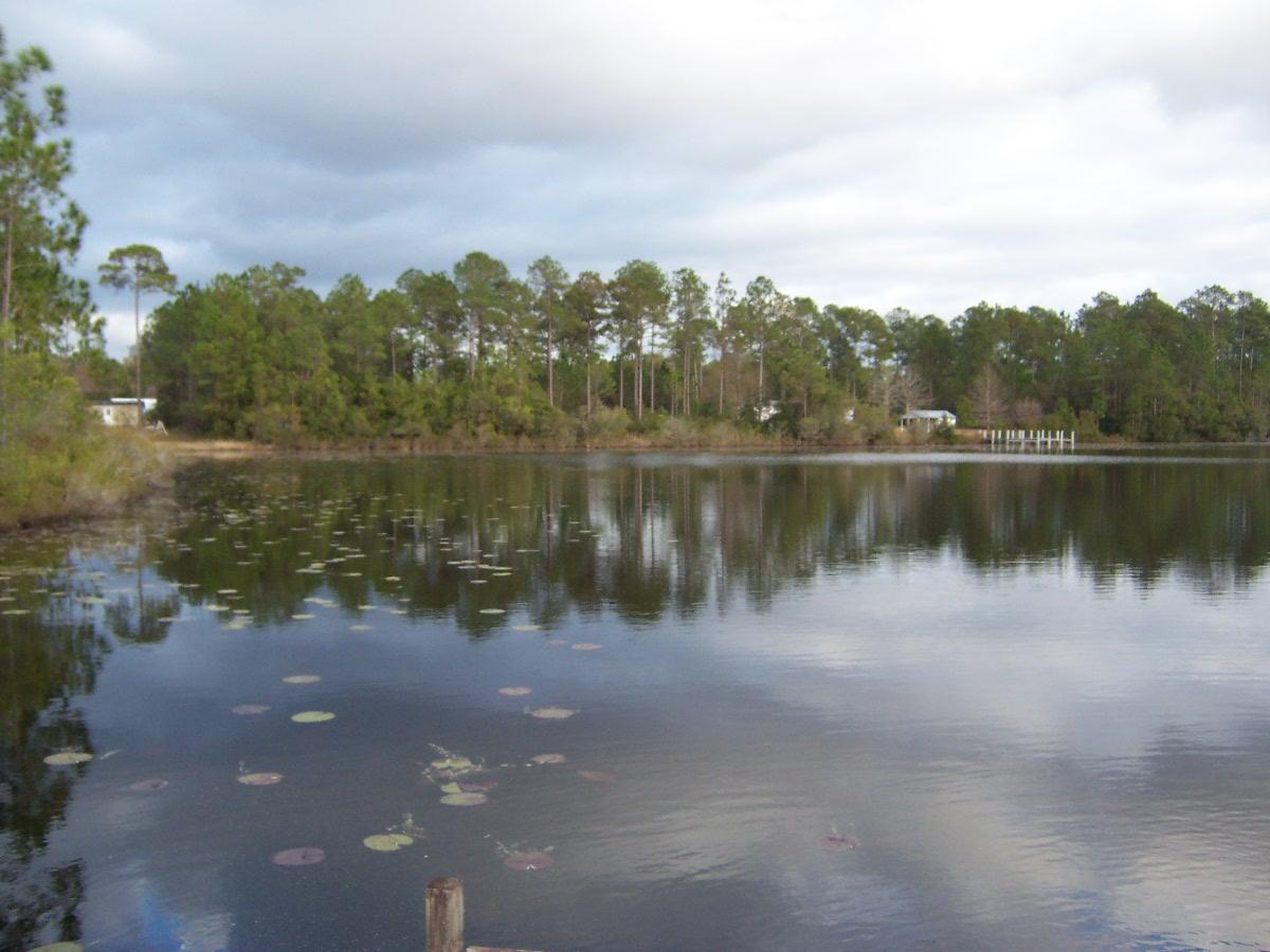 LAKE JUNIPER ESTATES UNIT III - Land