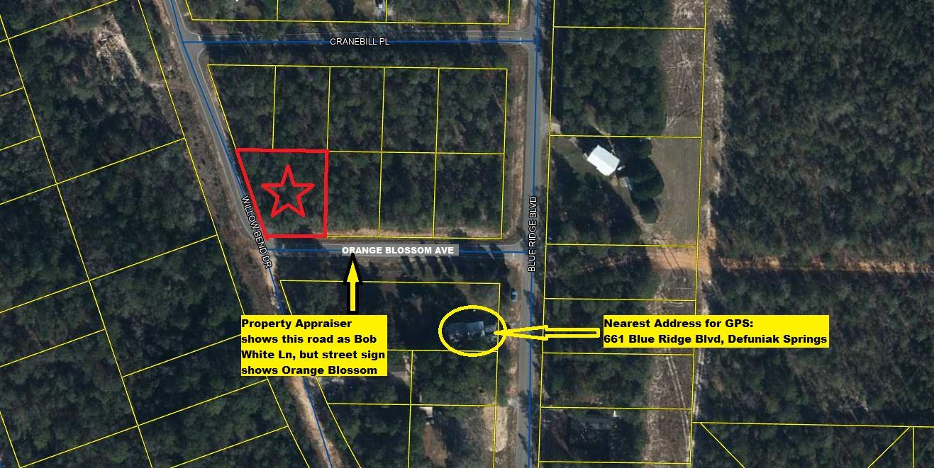 Beautiful, lightly wooded, corner lot on paved road. Apx. 1/3 acre corner lot is located minutes from Blackstone Golf Course; 10 minutes from downtown Defuniak Springs; 20 minutes Crestview; 15 minutes to I-10 in Mossy Head for quick commute to Niceville, Fort Walton Beach and Eglin AFB. Electric runs along this street; public water available through Mossy Head Water Works; septic would be required.