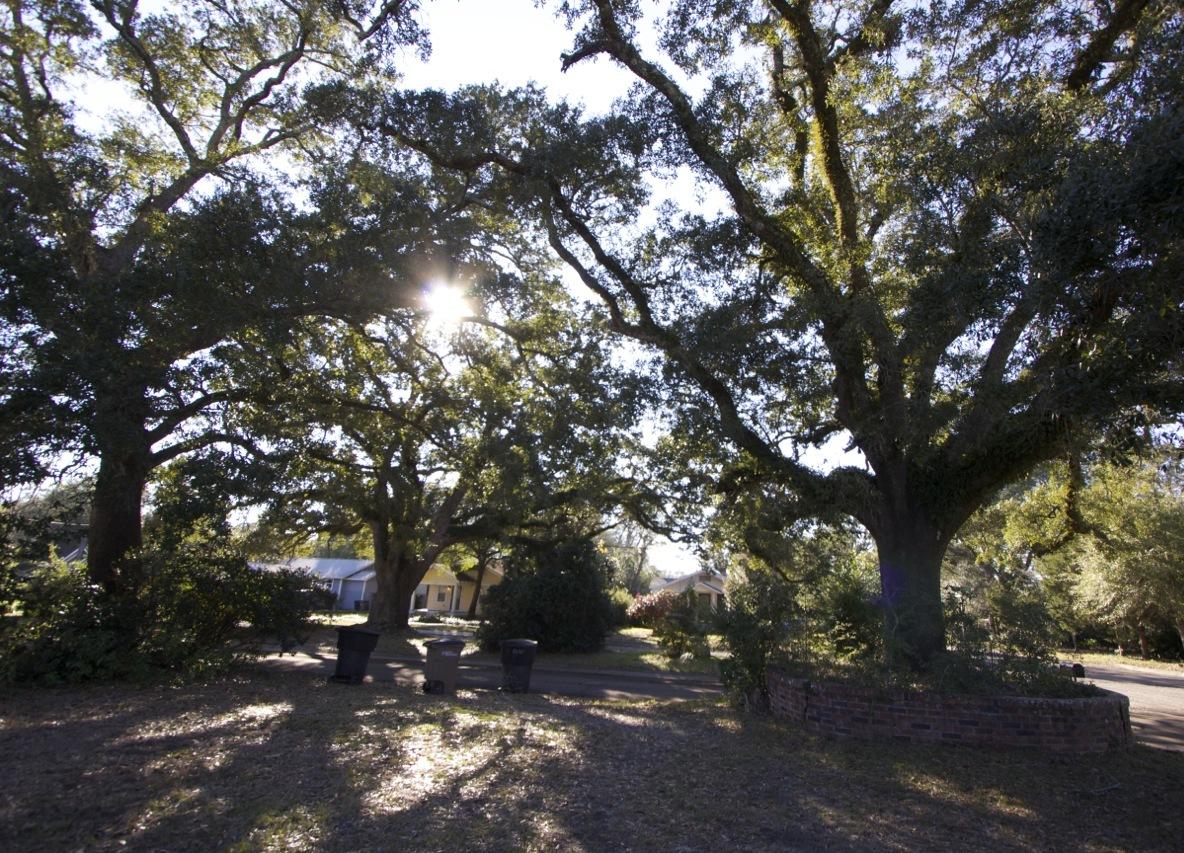 New City Tract - Residential