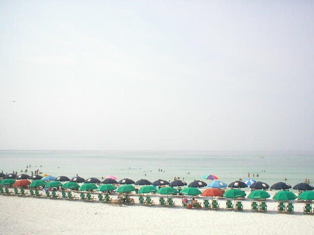 Elation - Residential