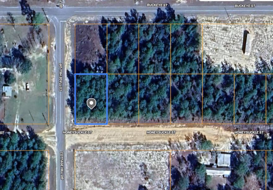 This 80x125 lot is just under 1/4 acre and located off a Paved road in growing Mossy Head area of Defuniak Springs. Property is located minutes from Blackstone Golf Course and I-10. Defuniak Springs & Crestview less than 20 minutes and apx. 40 minutes to Niceville & Eglin AFB. Power on street. Public water is available (tap fee would need to be paid through Mossy Head Water Works). Septic would be required.  Manufactured homes allowed!