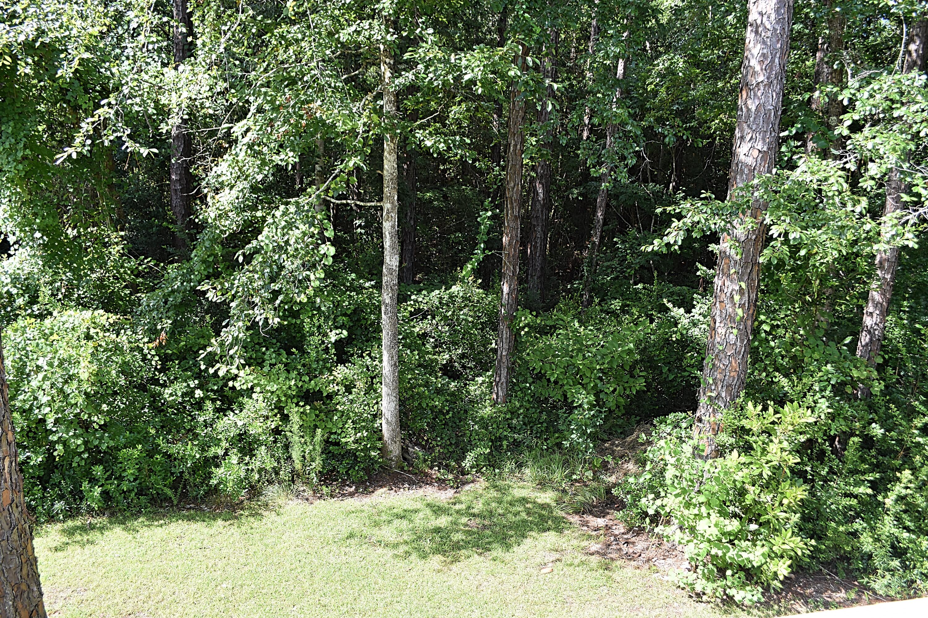 CANOPIES OF FREEPORT - Residential