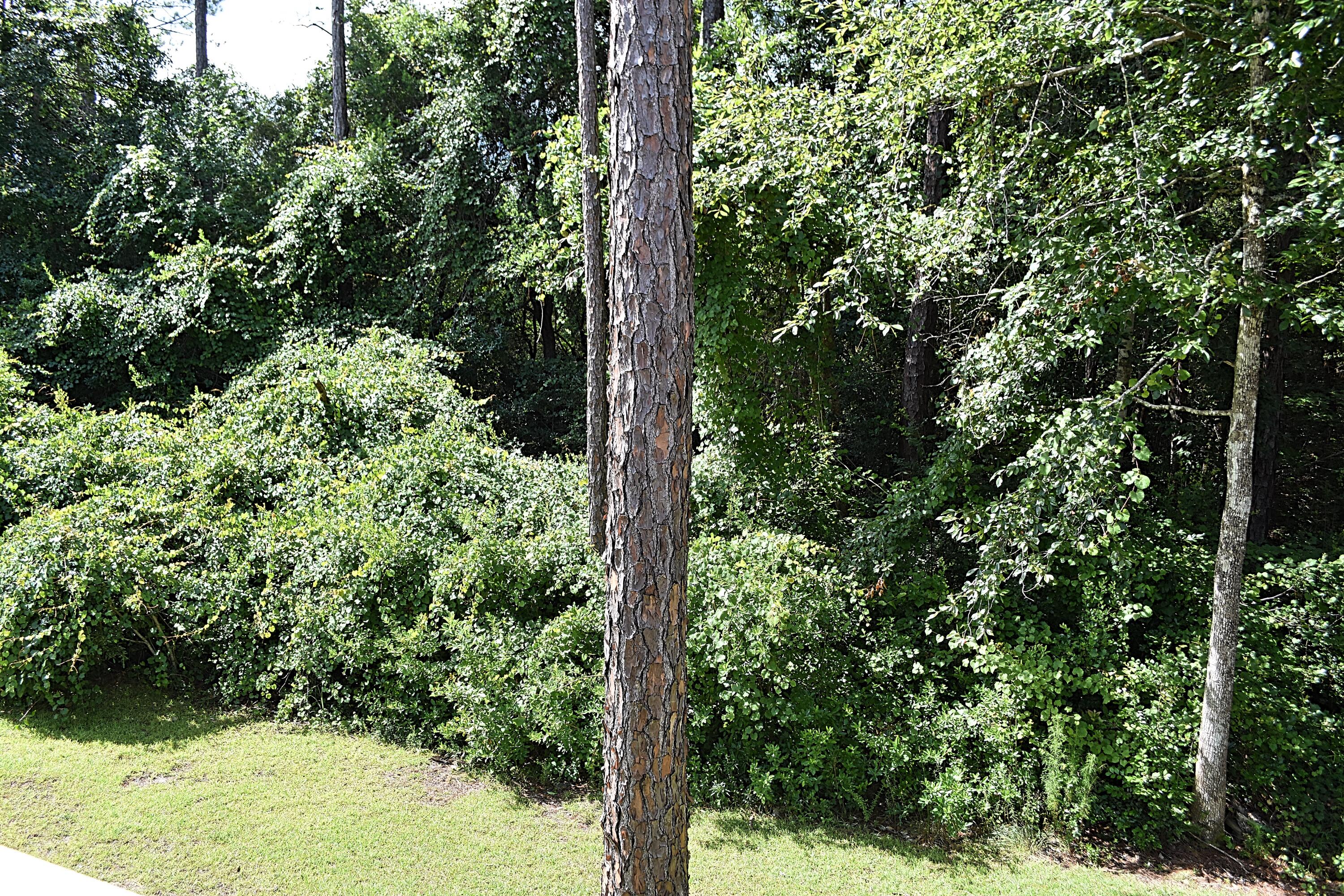 CANOPIES OF FREEPORT - Residential