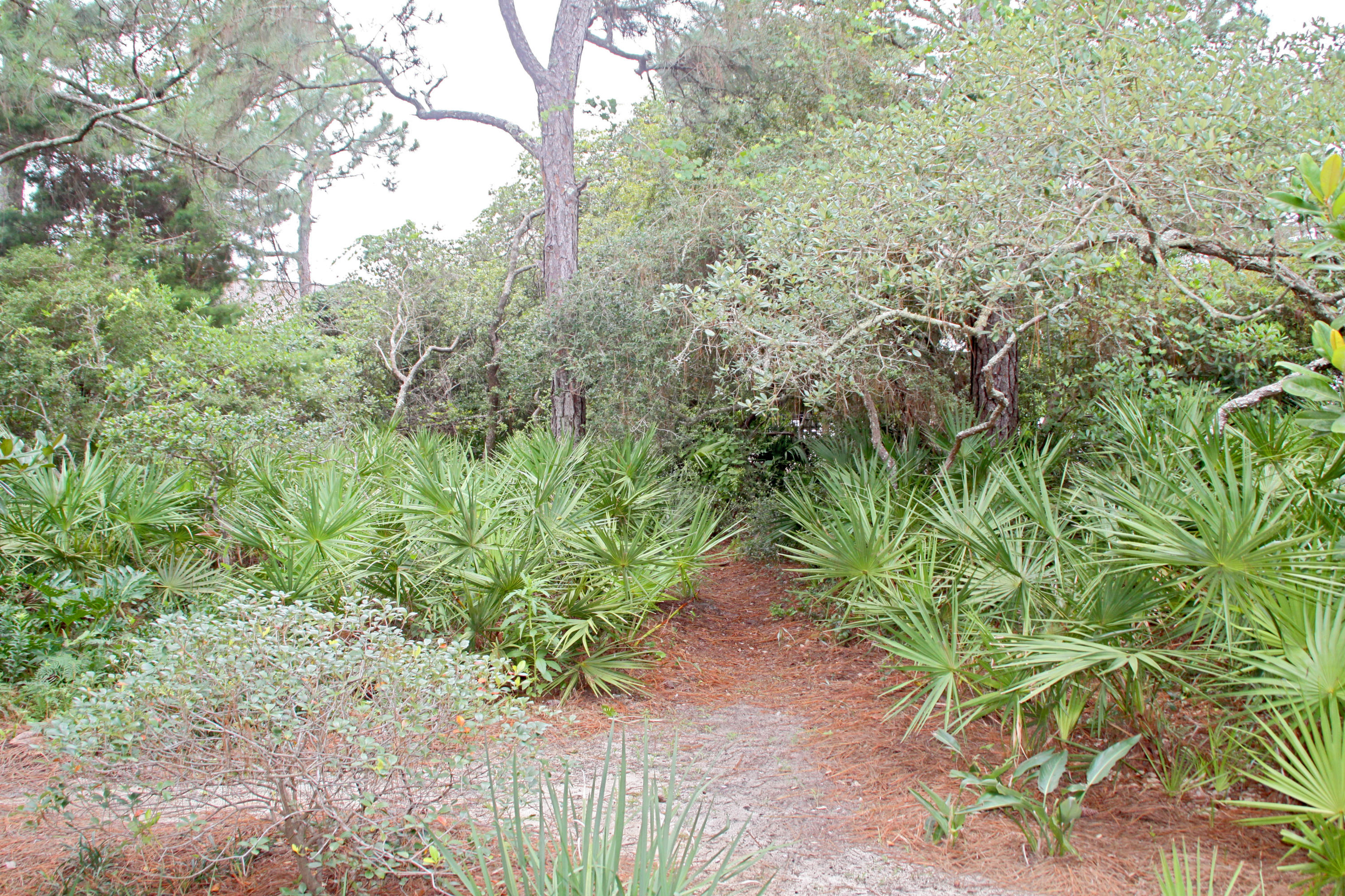 CASSINE VILLAGE - Residential