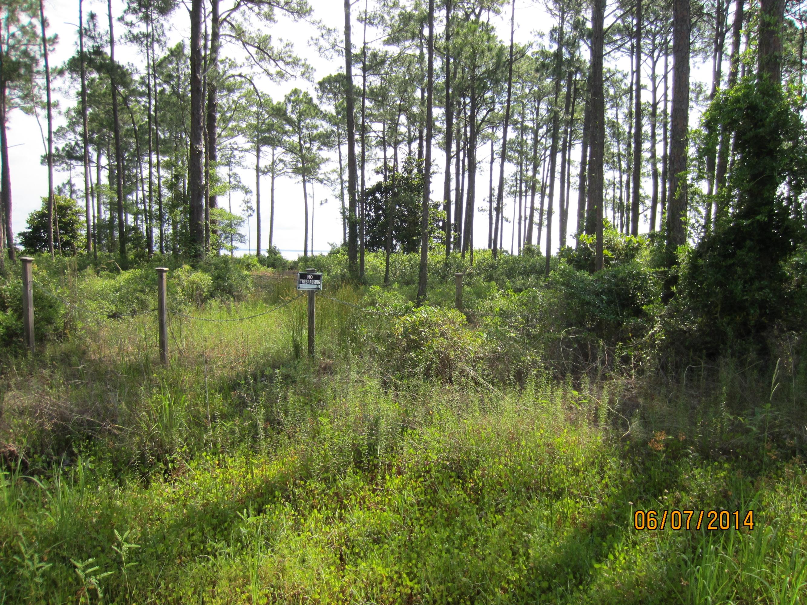 DRIFTWOOD ESTATES - Land