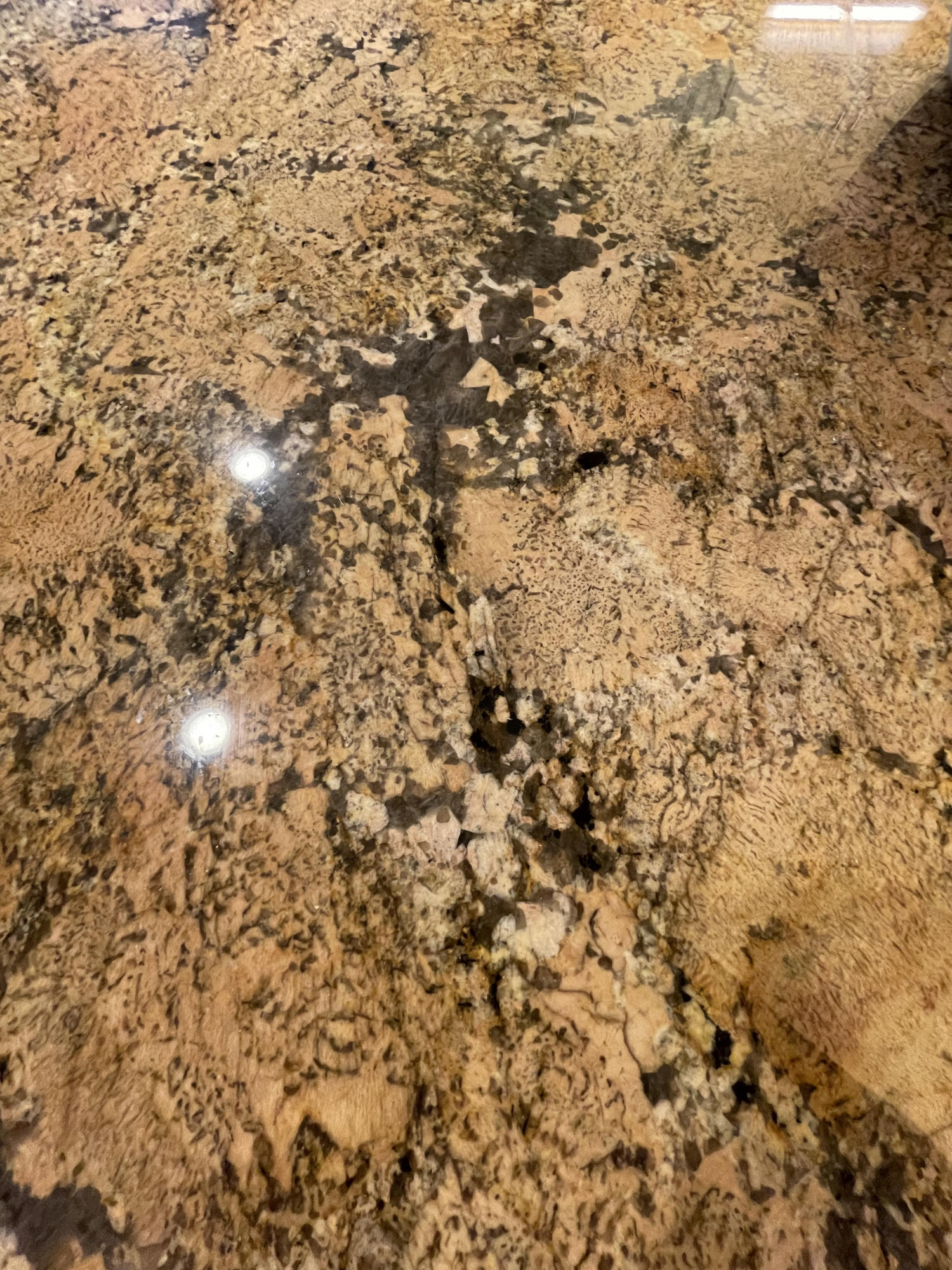 HOLIDAY SURF & RACQUET CLUB - Residential