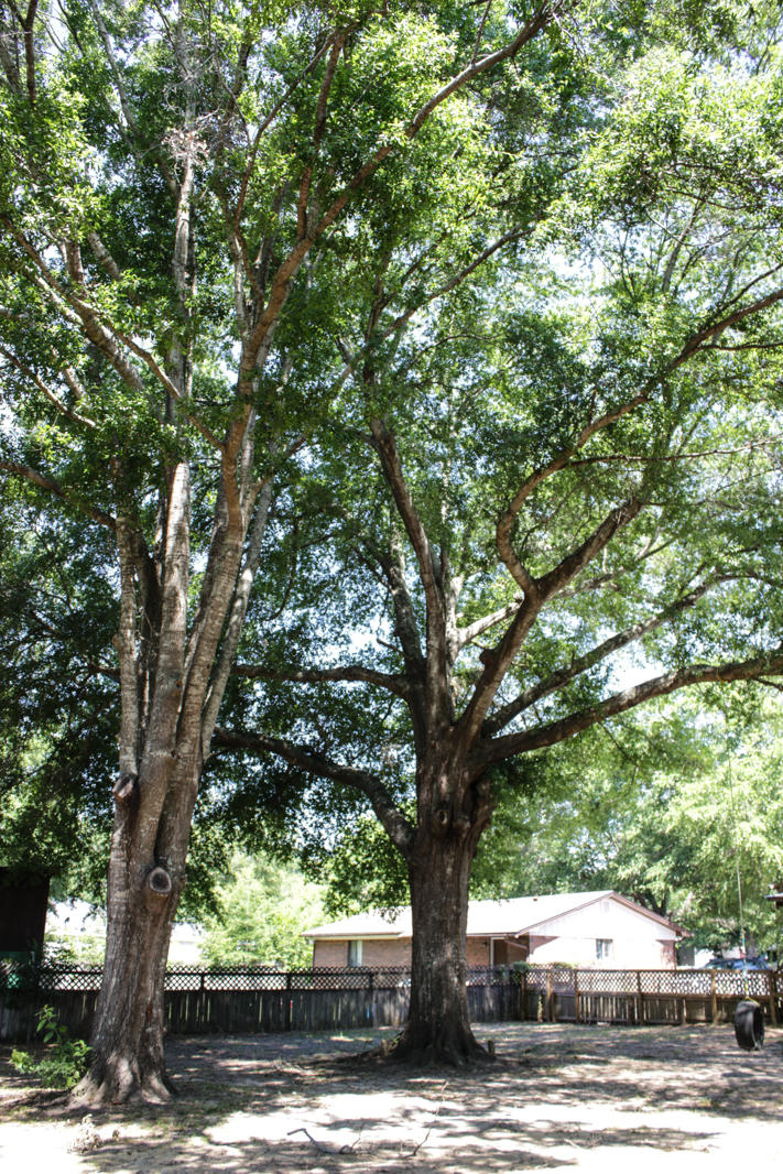 OAKDALE MINI FARMS RESUB BLK 18 - Residential