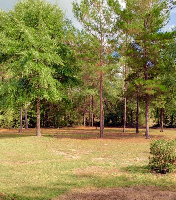 METES AND BOUNDS - Residential