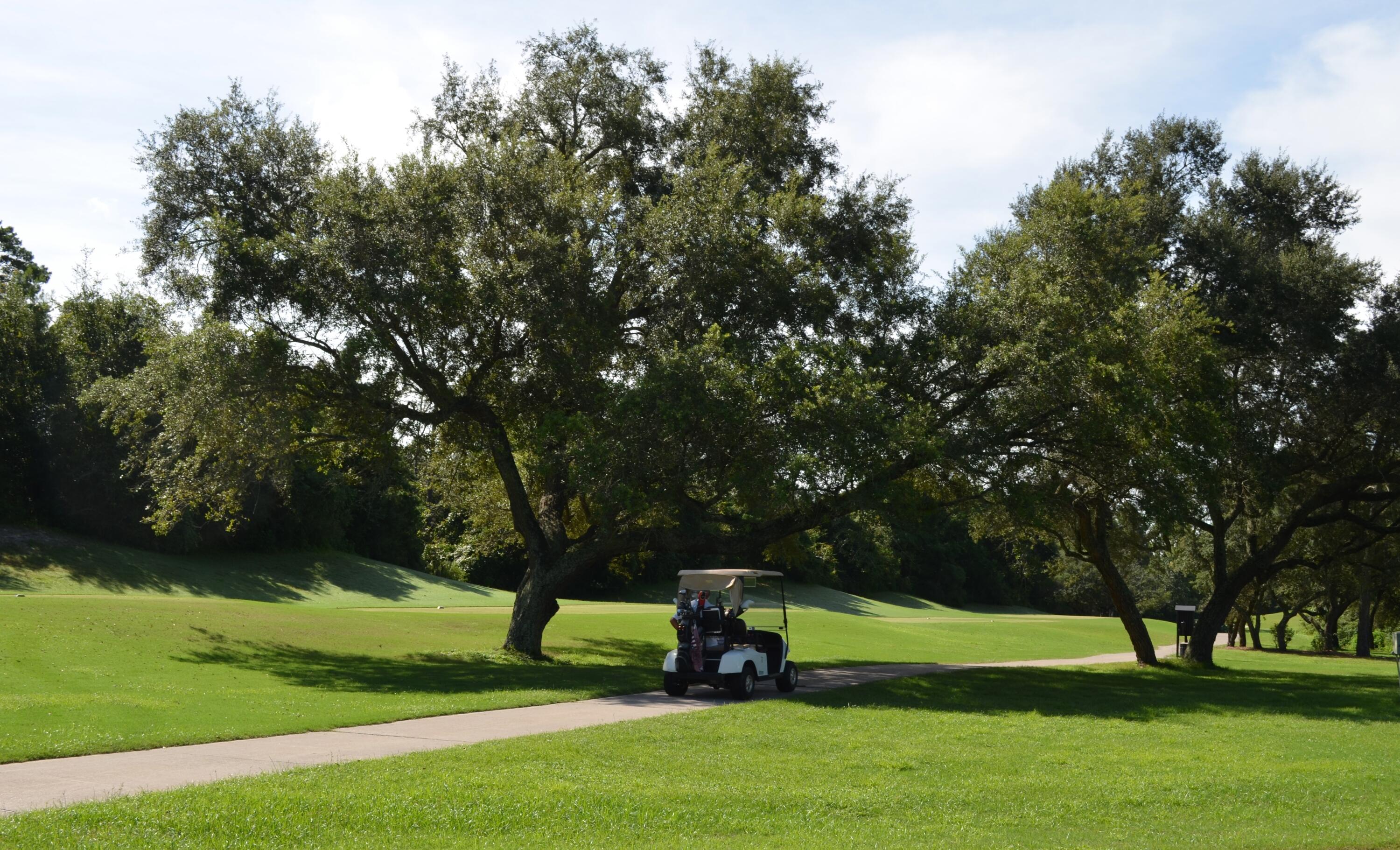 HIDDEN CREEK ESTATES AT HOLLEY BY THE SEA - Residential