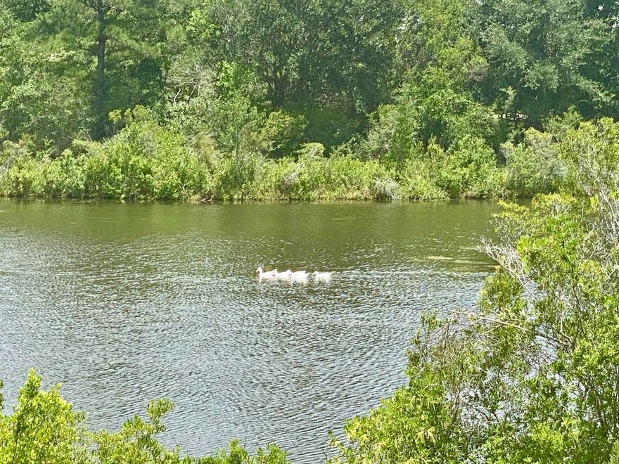 Under contract with 72 hr Kickout Clause, LAKEFRONT! NEW CONSTRUCTION! AWARD WINNING BUILDER! This home features stunning water views and beautiful finishes! This home features 4 bedrooms plus a flex room and a formal dining room, a highly functional open floor plan which maximizes the lake views, beautiful whitewashed wood ceiling in both living and dining , shiplap details, custom mud bench, and all the character and charm you'd expect. The kitchen offers lake views, slightly off white shaker cabinetry and stylish open shelving, subway tile backsplash, stainless steel appliances, a breakfast bar, and granite countertops. The Master Suite has lake views and a spa like master bath with shiplap, a fully tiled walk-in shower, large soaker tub, dual vanities and knee space makeup area