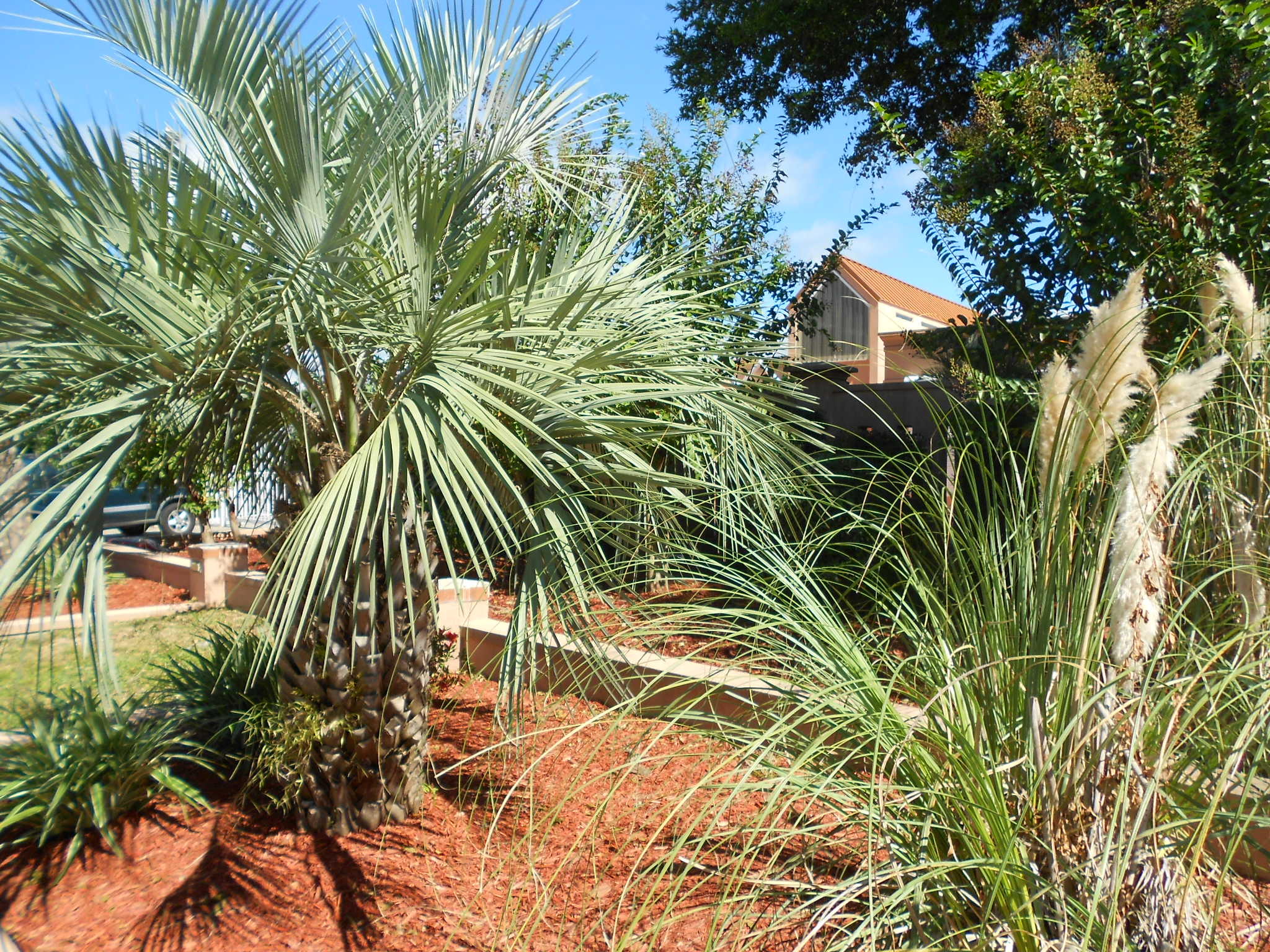 BAYTOP - Residential