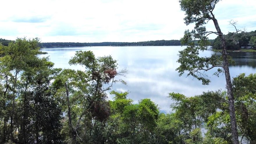 Seacoast Estates is the newest gated, waterfront subdivision in the area. With hills and live oaks lining the freshly paved roads, it's something special. Two separate lakes afford views from all directions. Little Lake Holley is approximately 50 acres in size and Lake Holley is approximately 250 acres in size! Each lake has a boat ramp too. Every lot in Seacoast Estates is waterfront, with water access and potential for a dock. Lot 56 is located on the POINT and elevated above it all. The boat ramp is right there. The views from this lot are fantastic! This lot is super private however it feels like you are on top of the world. Definitely worth taking the time to see. The under ground utilities are complete, so grab your plans and get building!