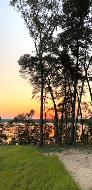 SEACOAST ESTATES - Land