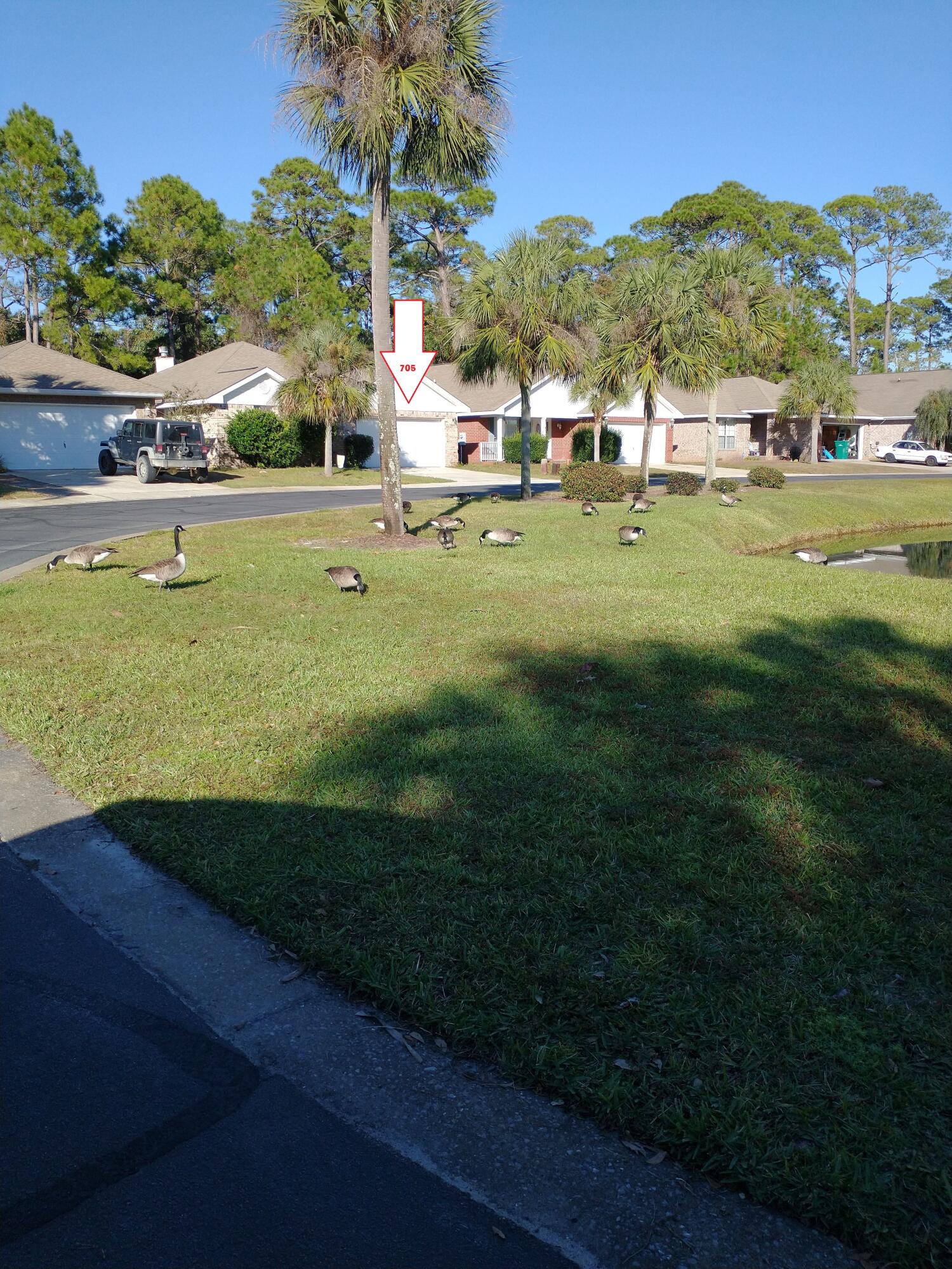 MARSH HARBOR - Residential