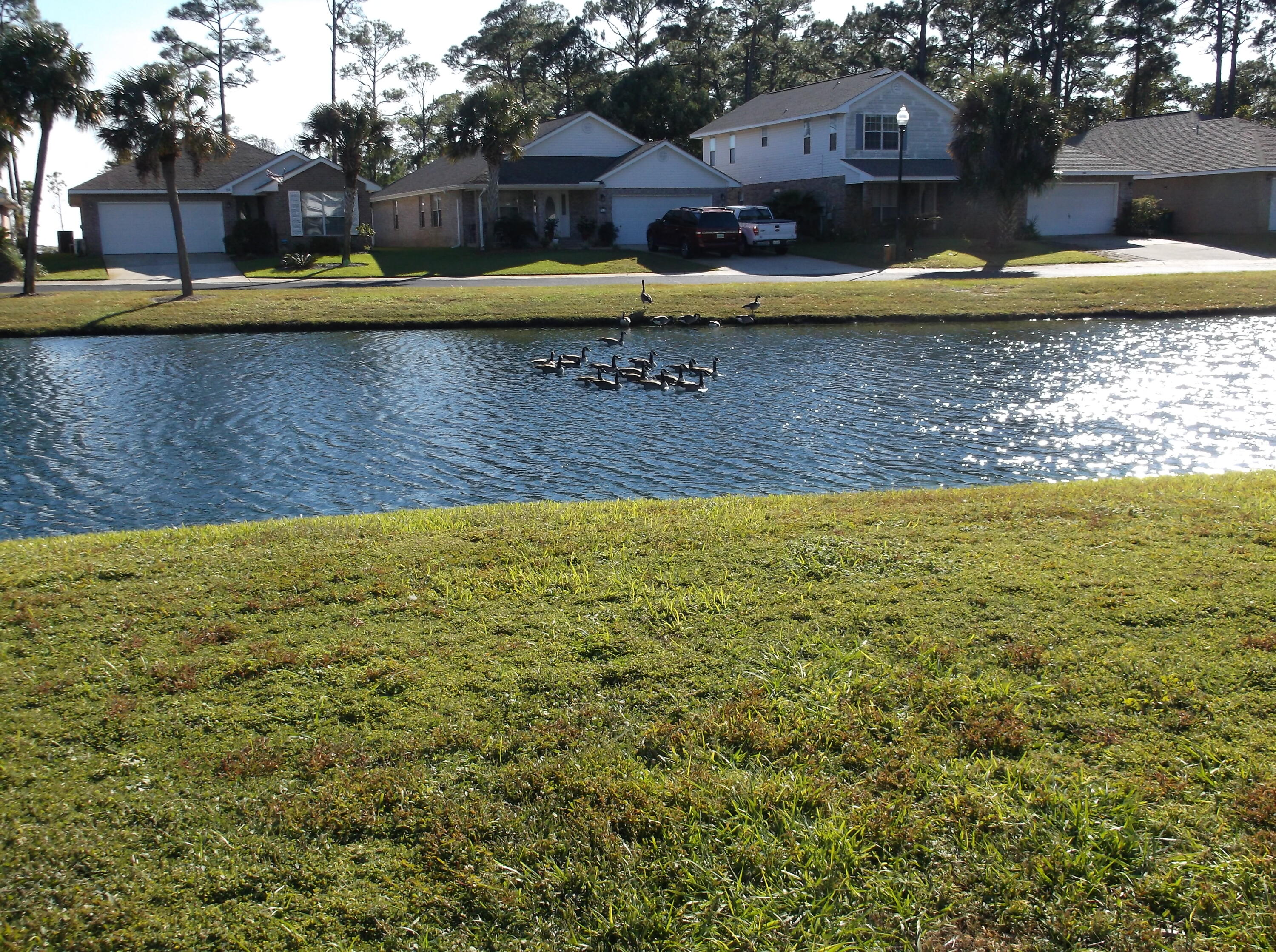 MARSH HARBOR - Residential