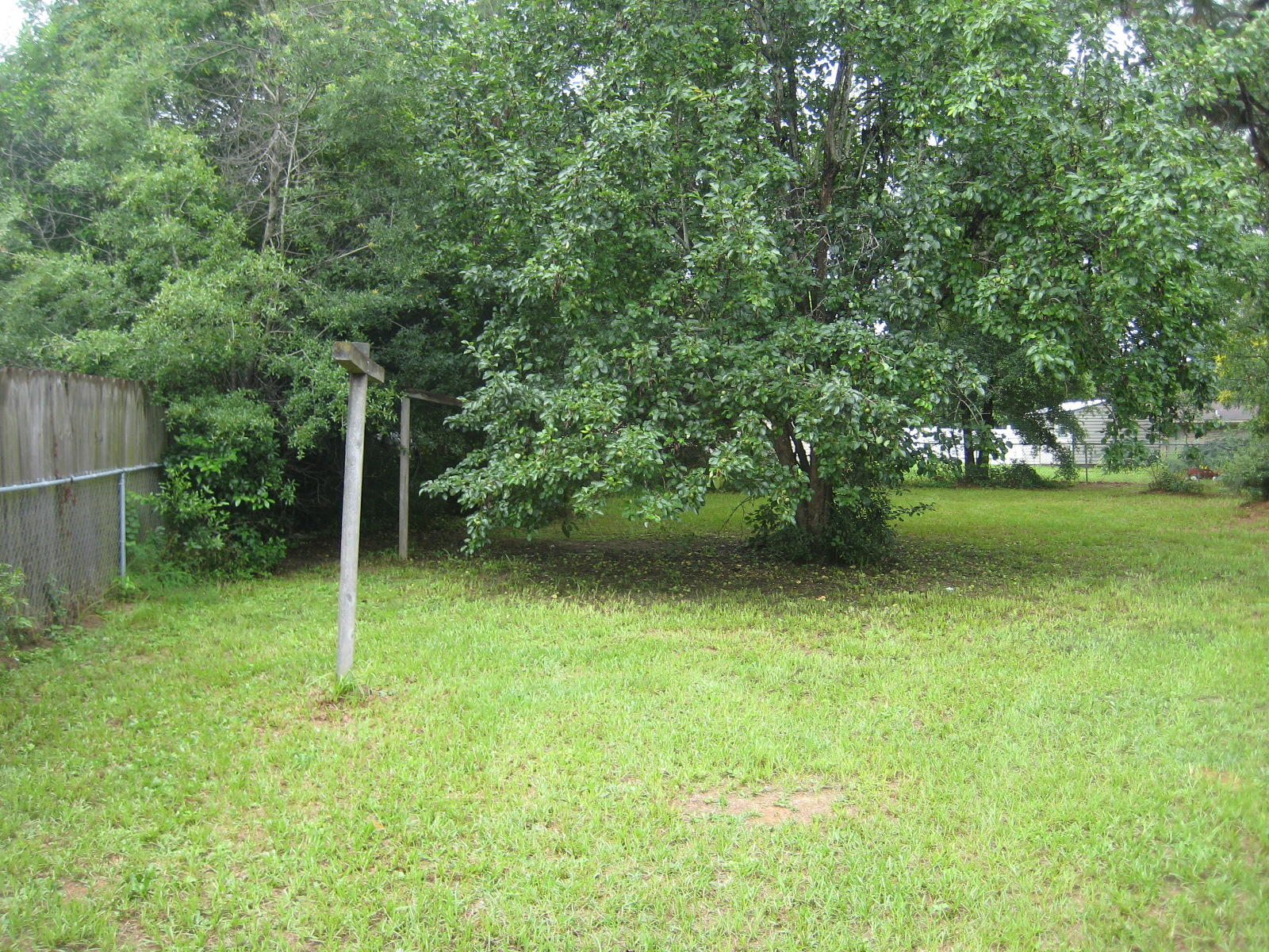 ADAMS POWELL EAST - Residential