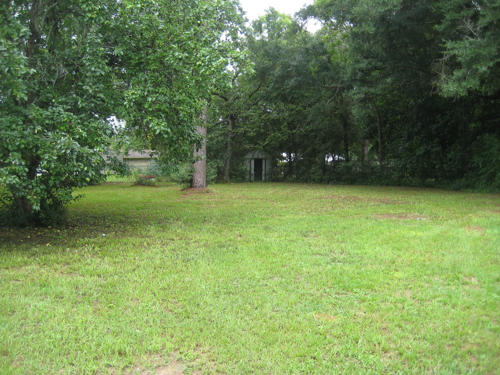 ADAMS POWELL EAST - Residential