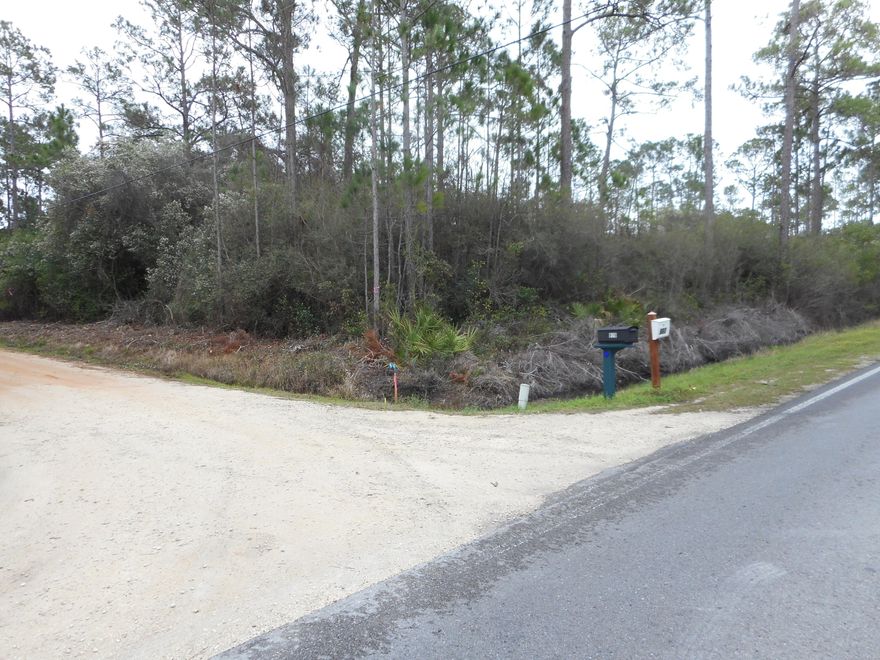Wetlands determined. Mitigation required for homesite on this great corner lot with 144 feet fronting on Hwy 393. Here is a chance to build your dream home 1/2 mile to beach access in the dynamic Gulf Place area of Walton County, Fl.