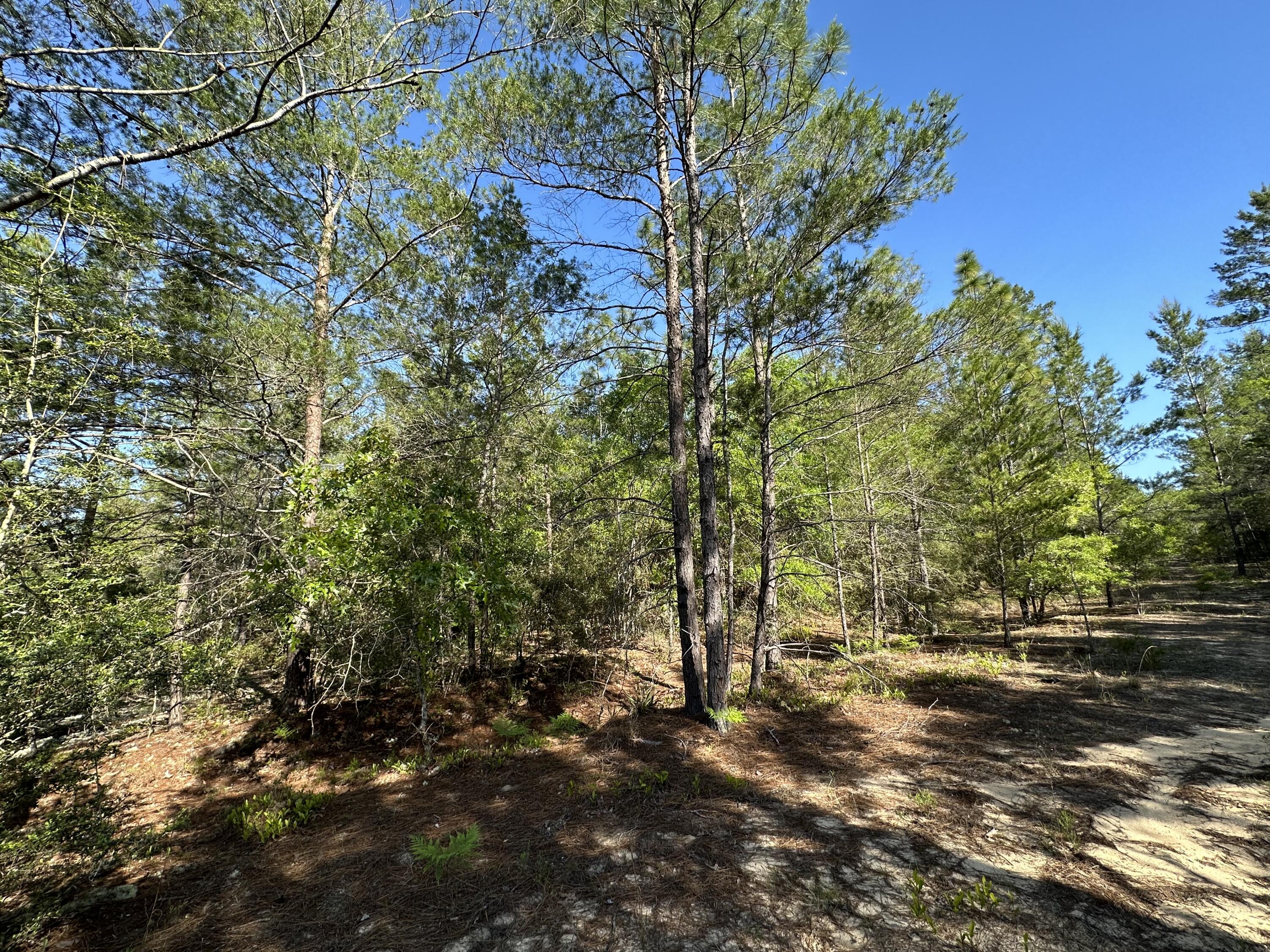 WOODLANDS OF CLEAR CREEK, UNRECORDED - Land