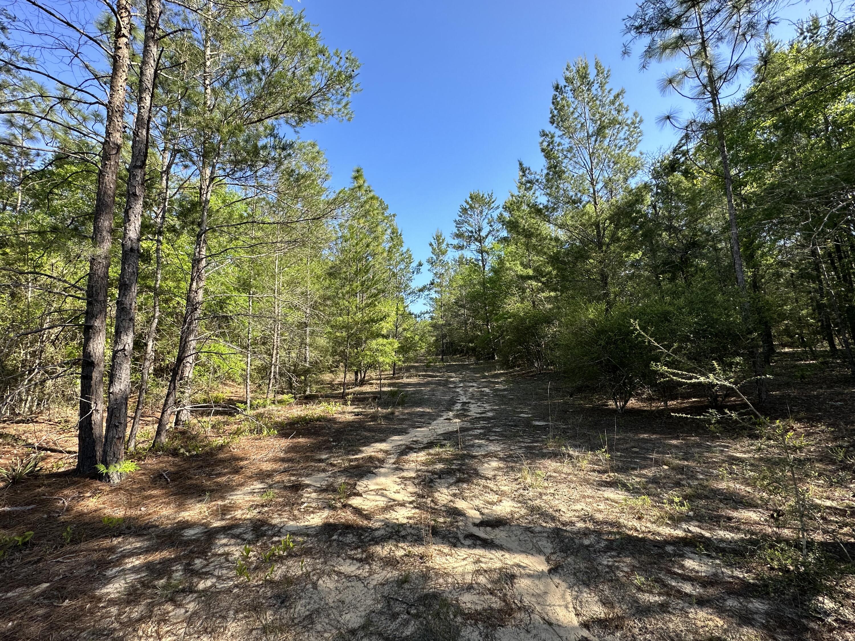 WOODLANDS OF CLEAR CREEK, UNRECORDED - Land