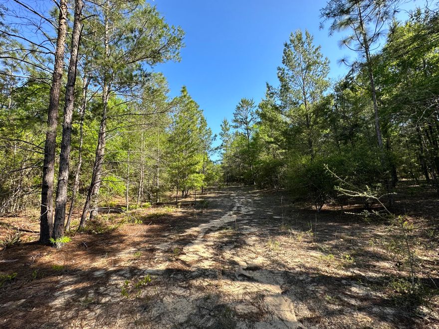 1.9+/- Acres of prime land! bring your build plans today! This lot is the perfect spot for your new home!located north of town with Lots of new growth and just a short drive from local schools, hospital, north Publix, a variety of restaurants and the upcoming Crestview Commons, Hwy 85, Hwy 90 and I-10 are in close proximity to the property.County zoned as RR