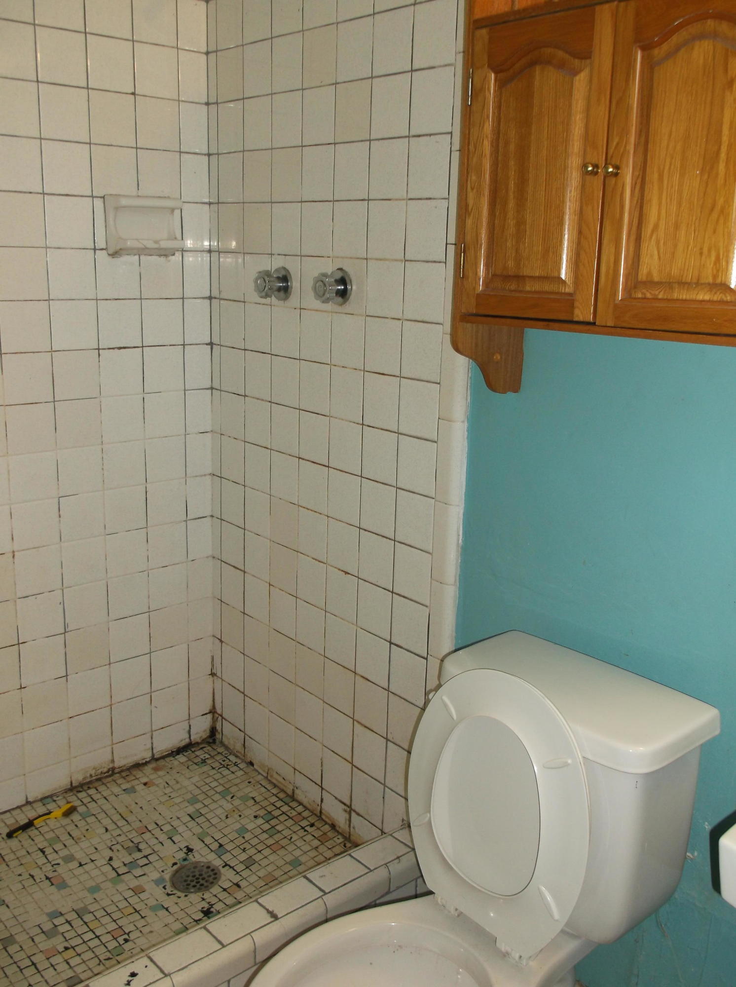 BRYN MAWR PARK 1ST ADDN - Residential