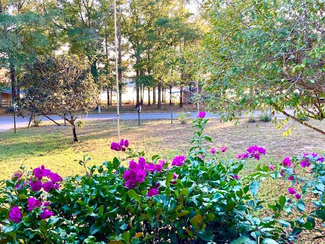 JUNIPER VILLAGE - Residential