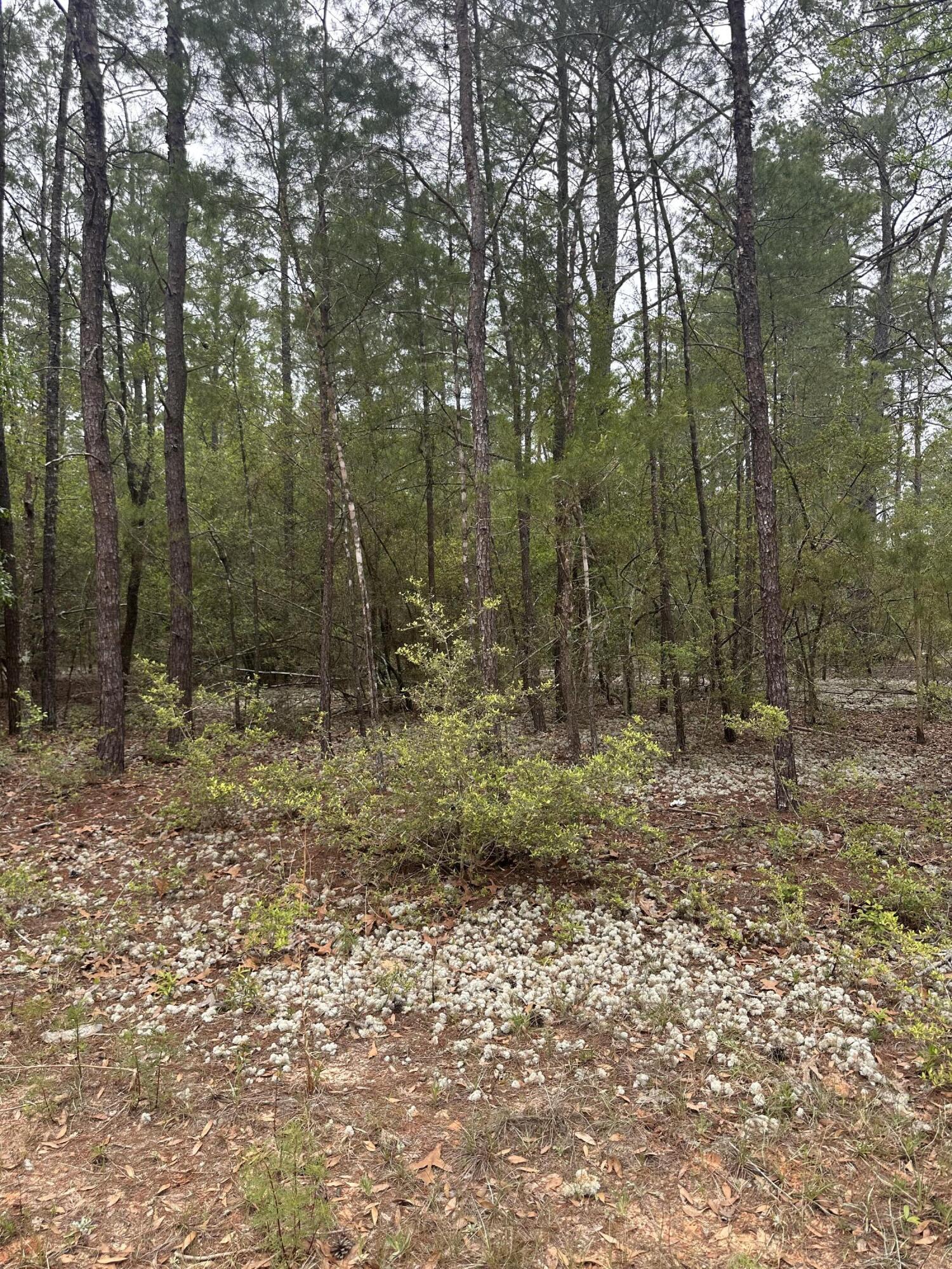 OAKWOOD HILLS UNIT 1 - Land