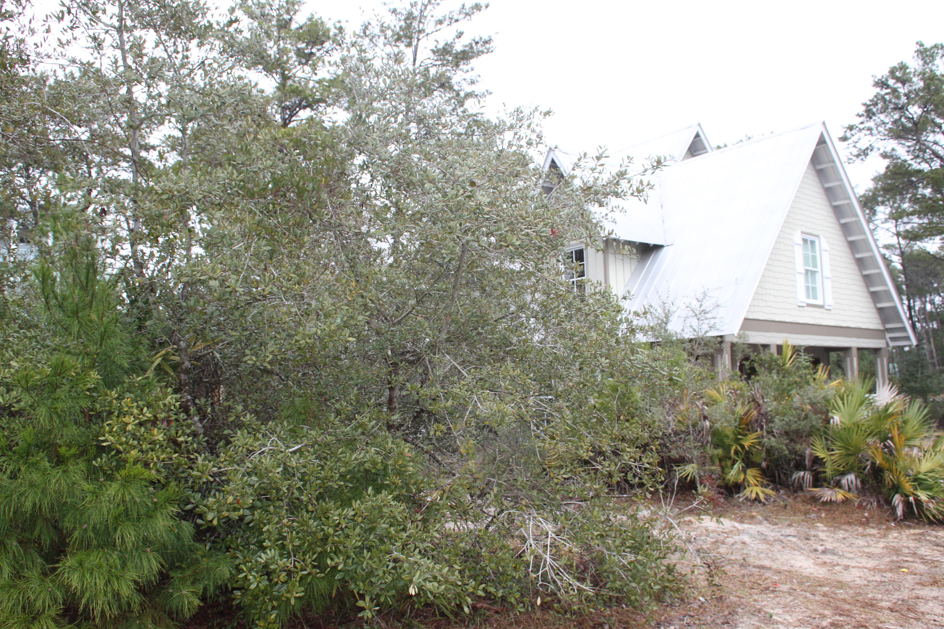Preserve at Inlet Beach - Residential