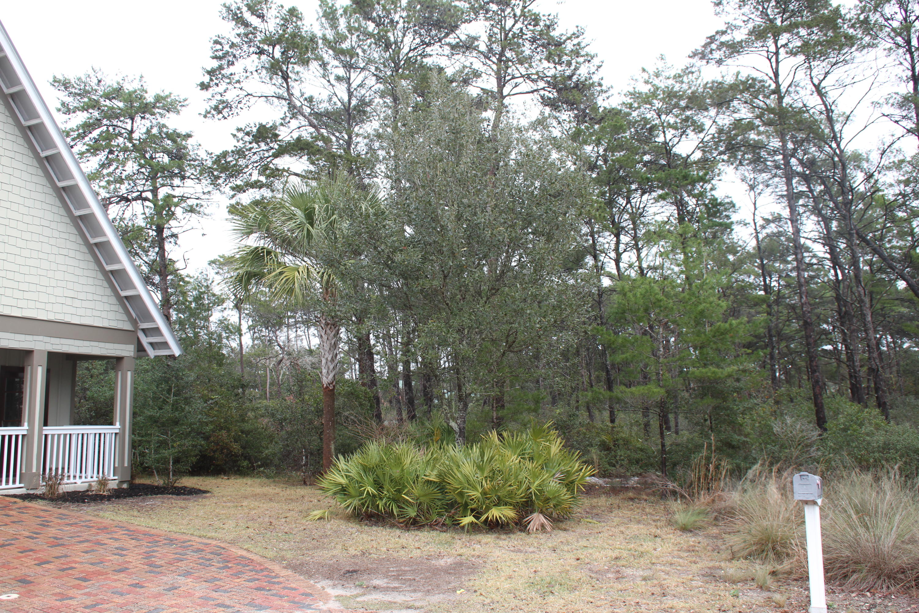 Preserve at Inlet Beach - Residential