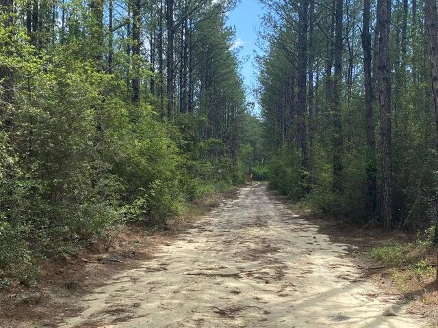 WALTON PLANTATION - Land