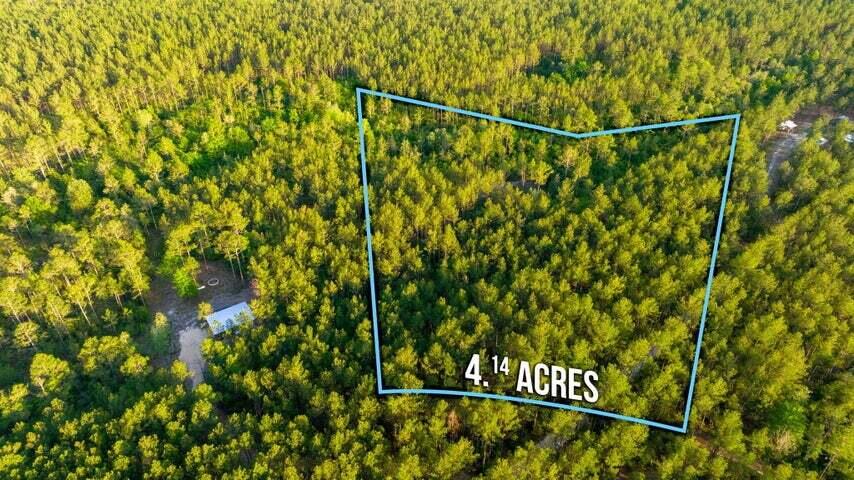 WALTON PLANTATION - Land