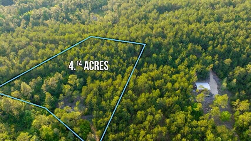 WALTON PLANTATION - Land