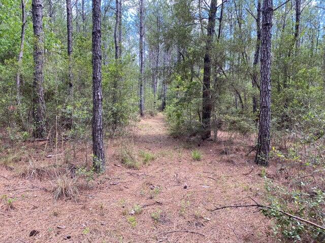 WALTON PLANTATION - Land