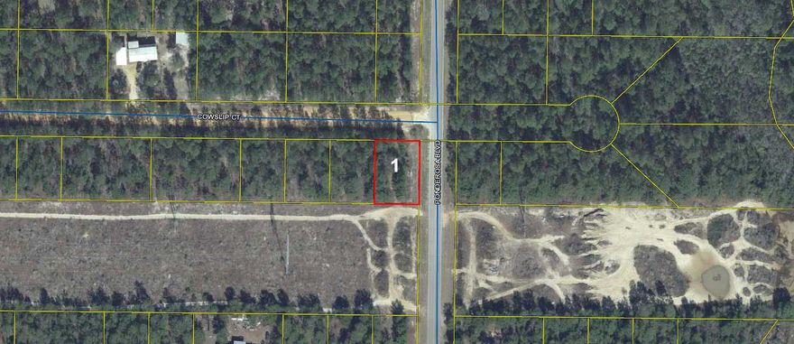 Wooded lot in the fast growing Mossy Head area, approximately 10 minutes from historic downtown DeFuniak Springs, voted the Best Small Town in Florida by MainStreet USA.