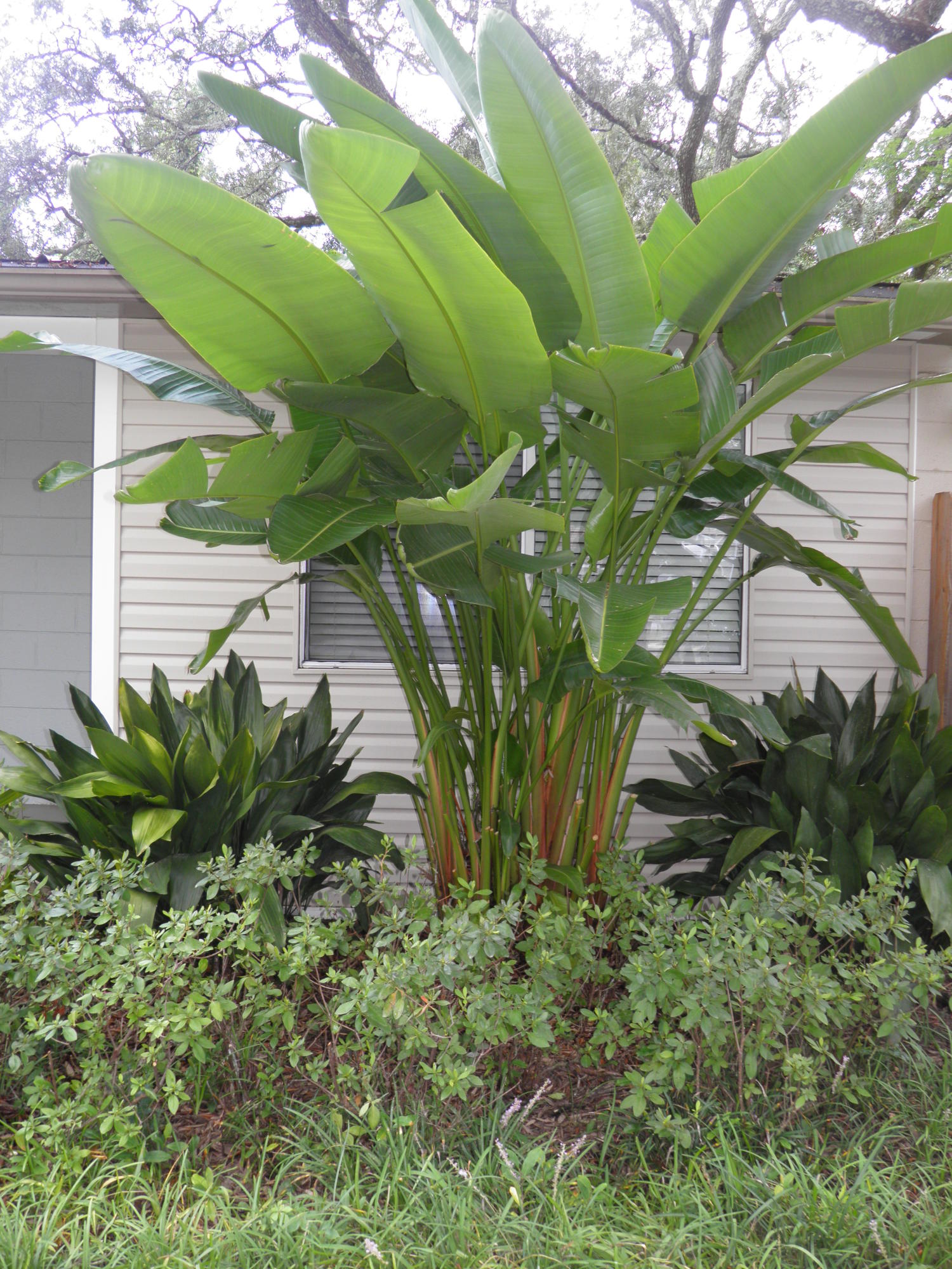 GARNIERS BEACH 2ND Addition, Lot 11 Blk 2. - Residential