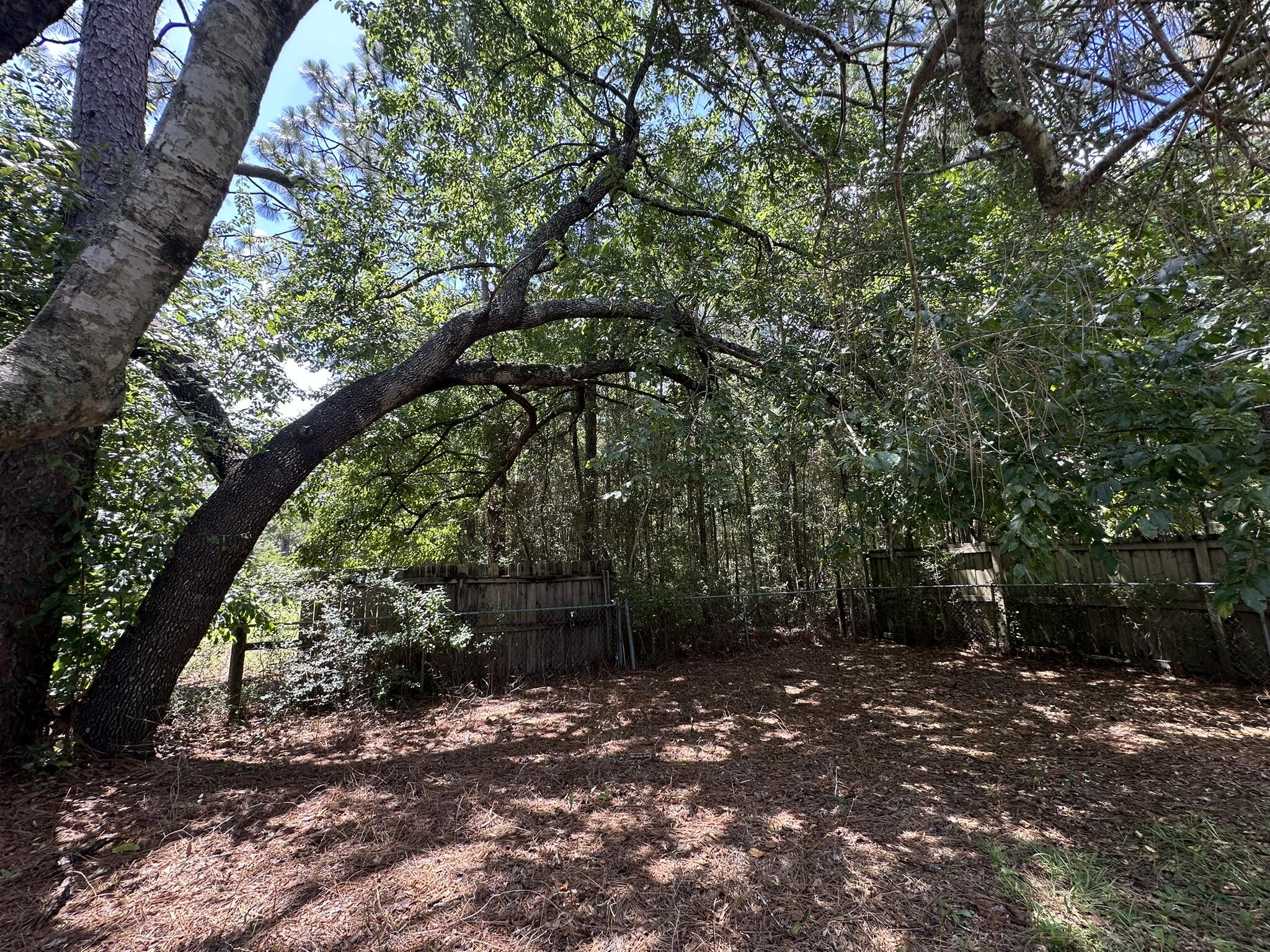 AUBURN HEIGHTS - Residential