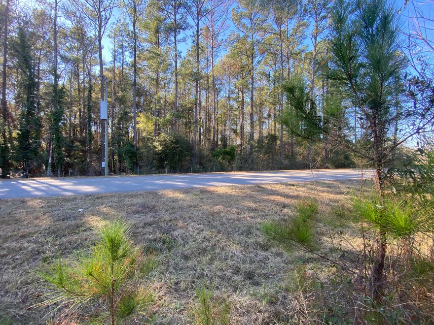 3+/- Acres The perfect location for your new home in the heart of Laurel Hill with paved road frontage and easy access to hwy 602 and hwy 85.Enjoy endless options of your favorite restaurants, beaches shopping centers, and much more! County zoned as agricultural.