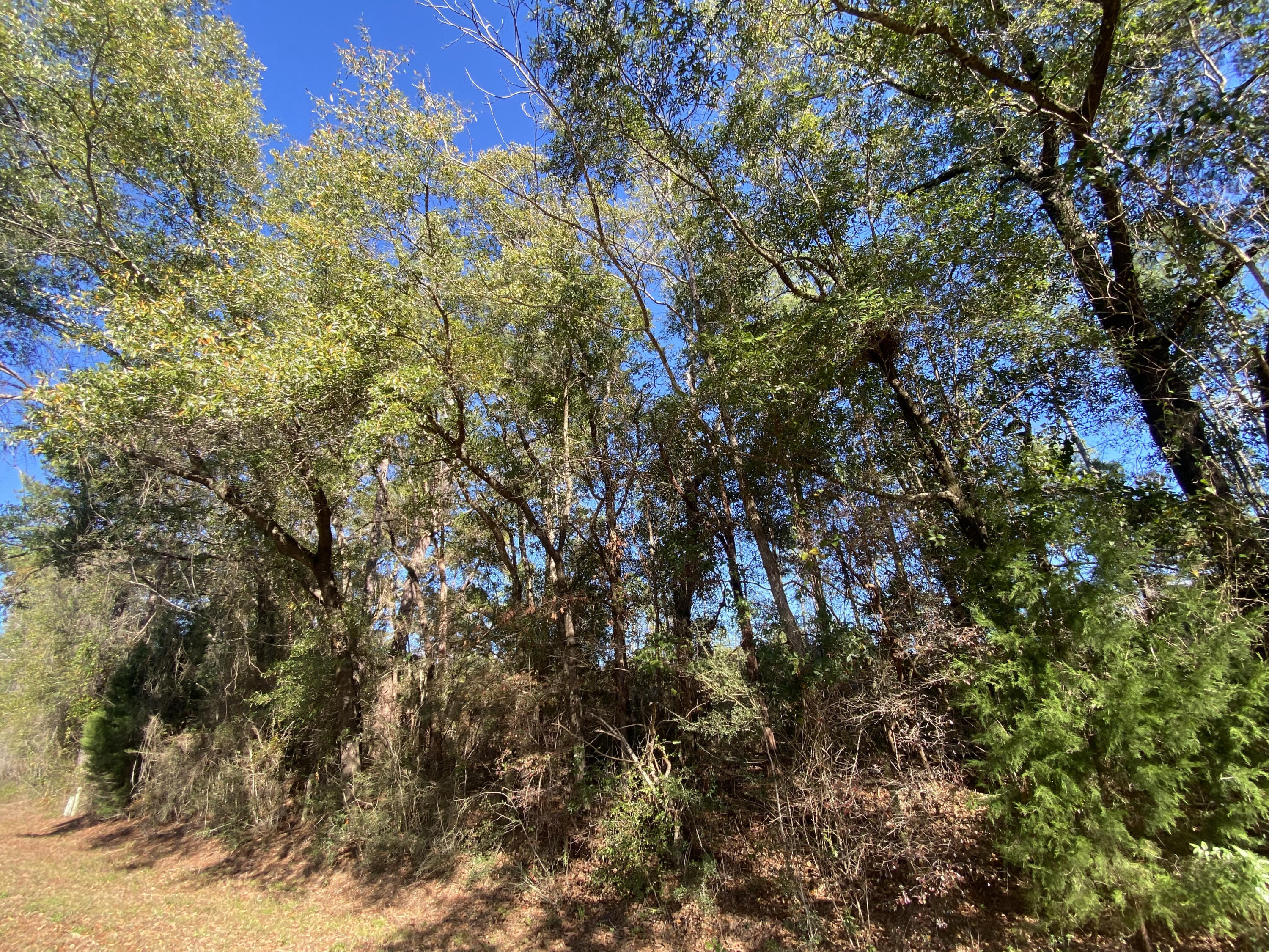 METES & BOUNDS - Land