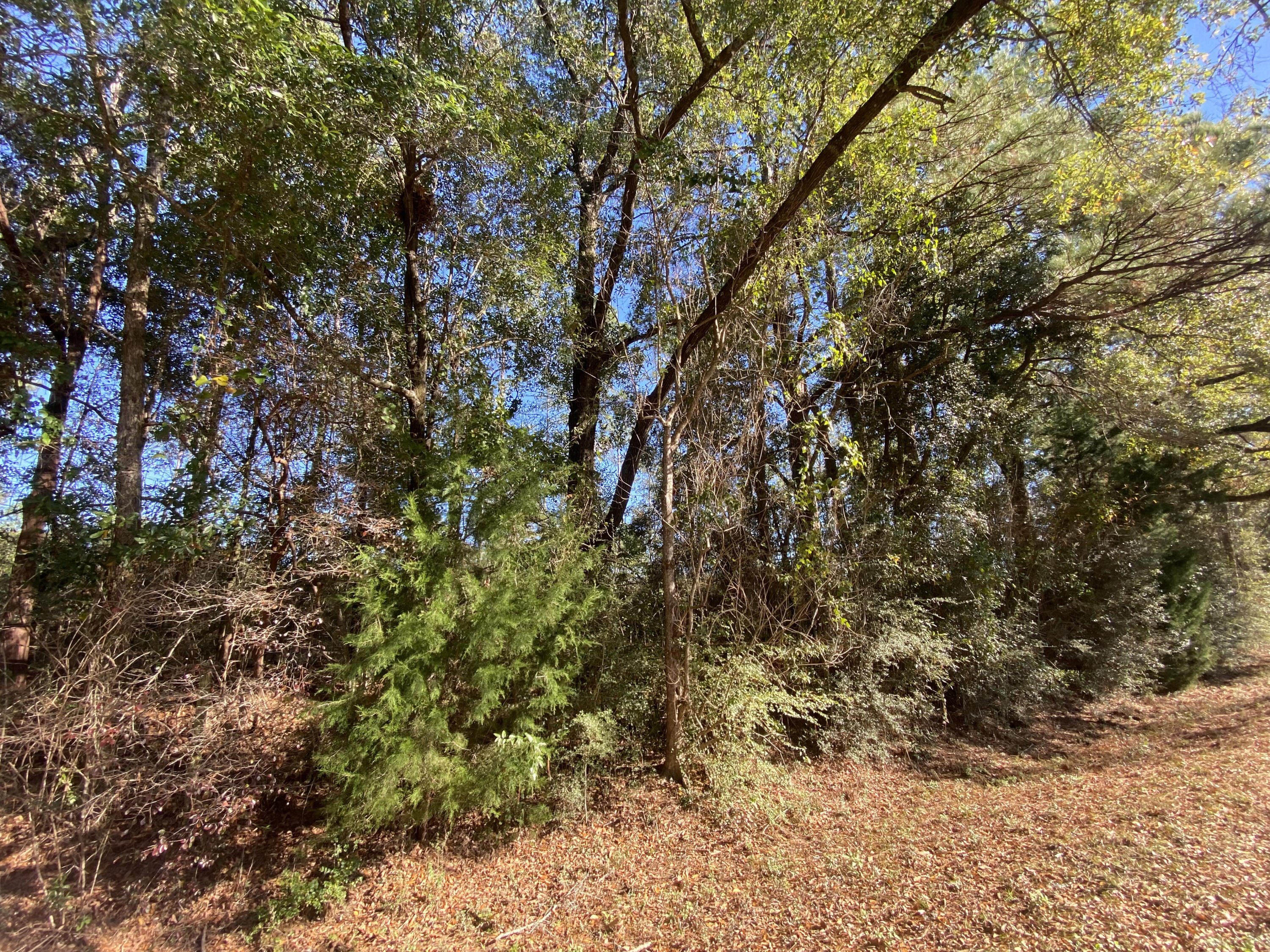 METES & BOUNDS - Land