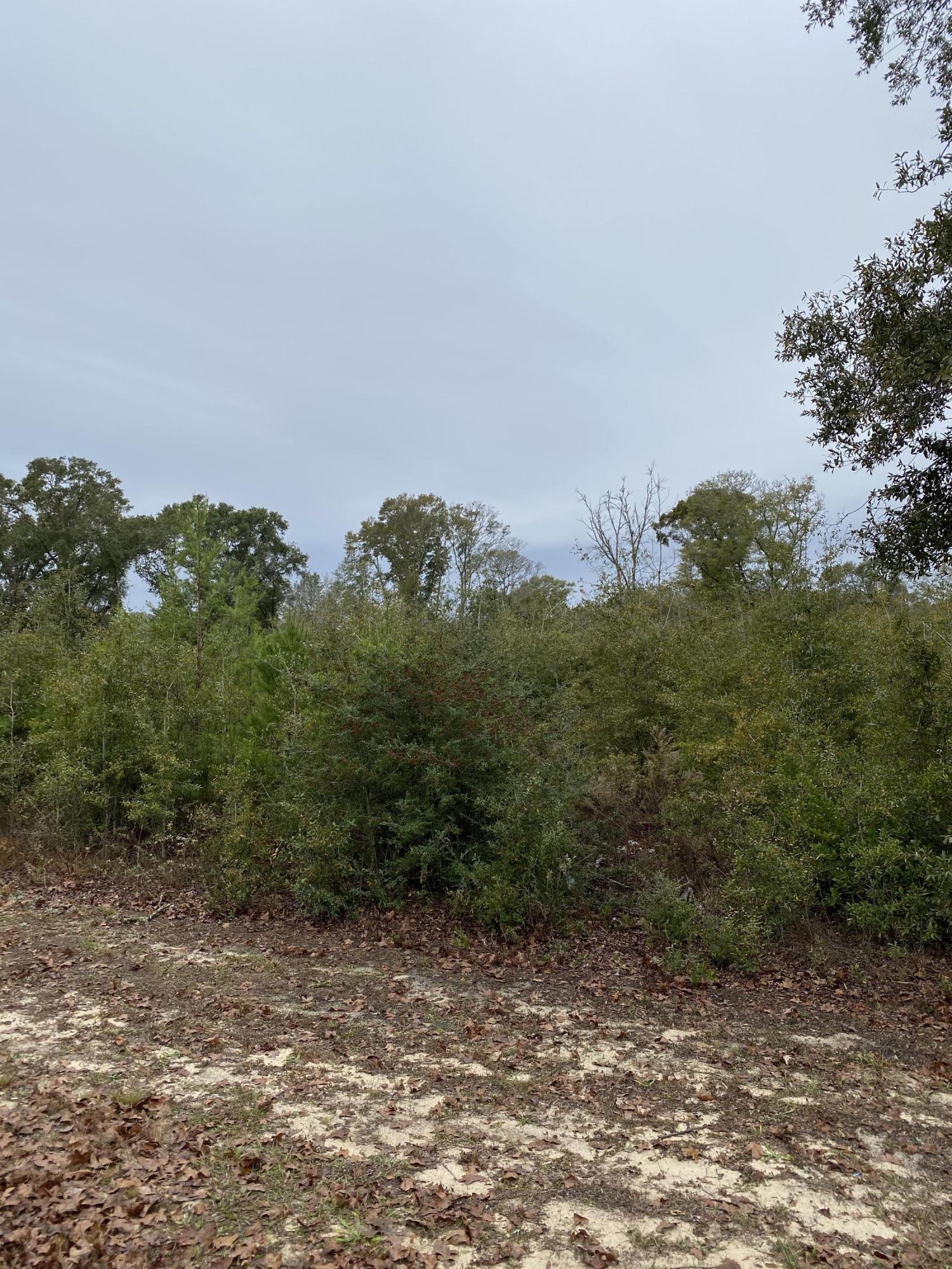 BLKS 1520 + 1529 TOWN OF DEFUNIAK - Land