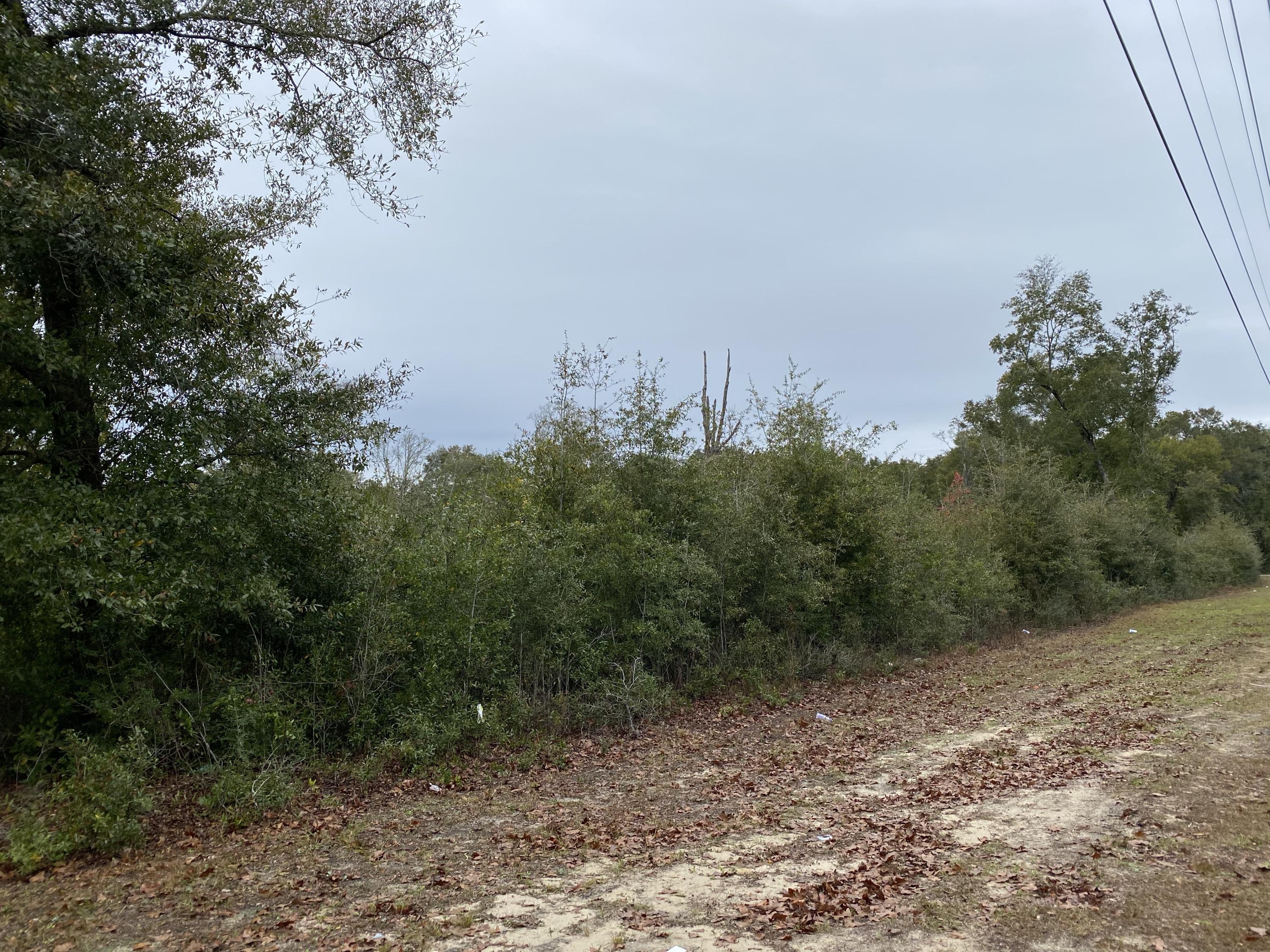 BLKS 1520 + 1529 TOWN OF DEFUNIAK - Land