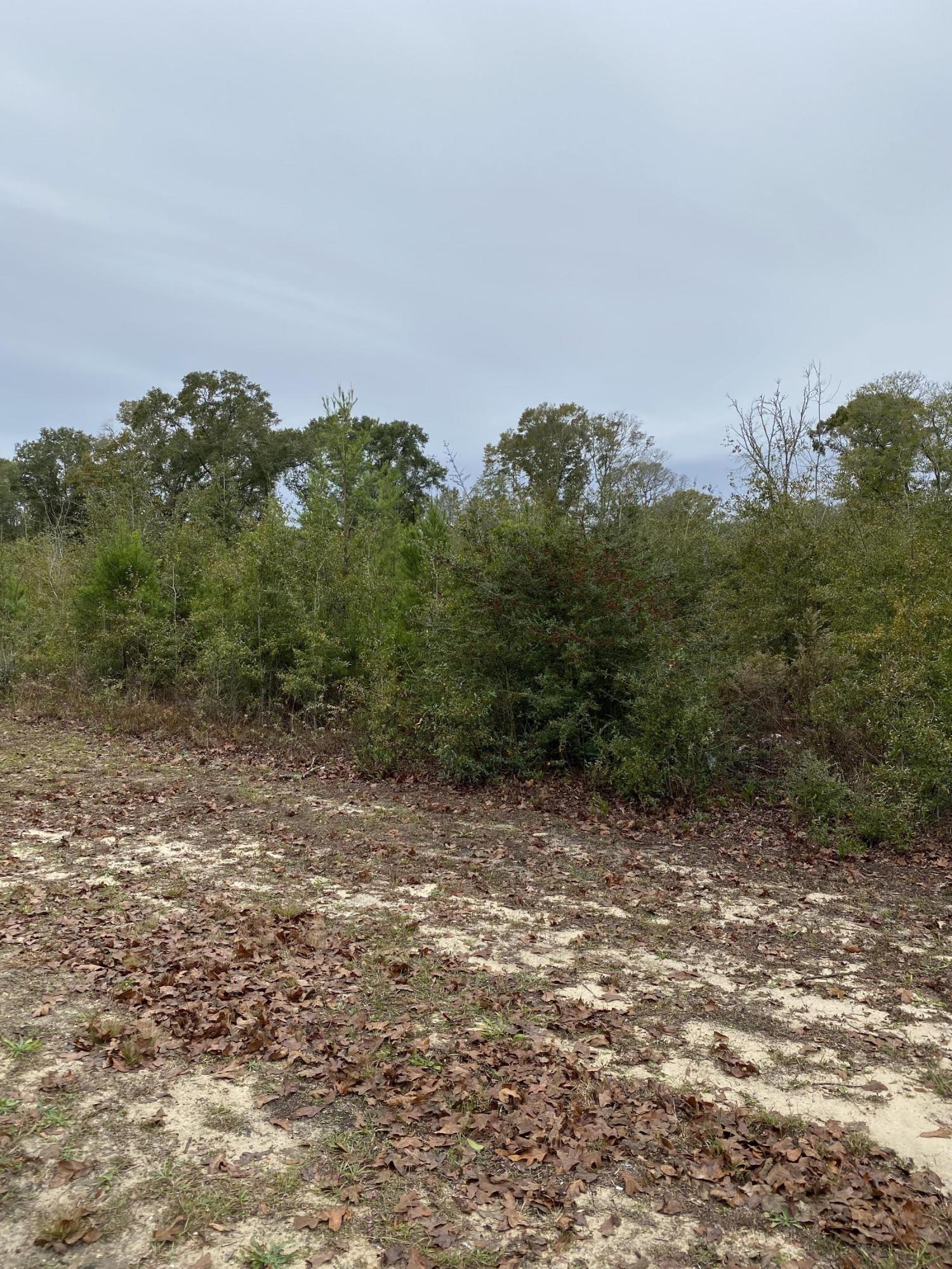 BLKS 1520 + 1529 TOWN OF DEFUNIAK - Land