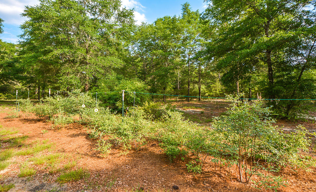 AUTUMN HEIGHTS - Residential