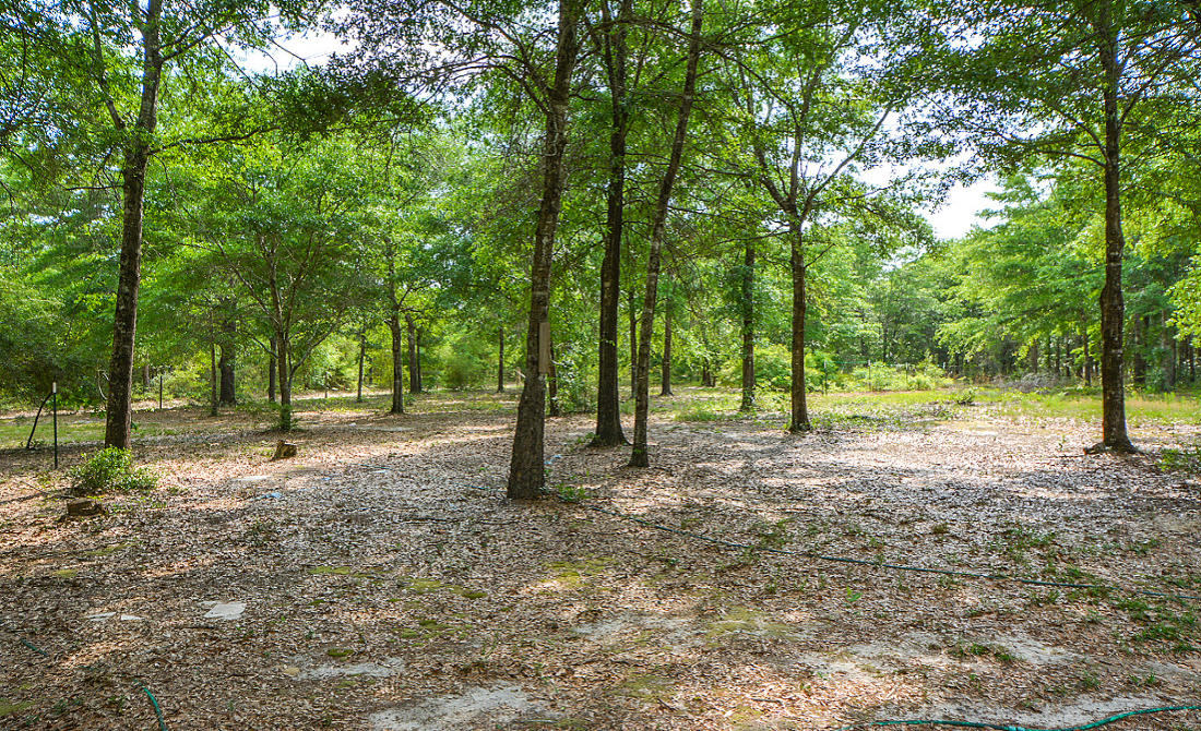 AUTUMN HEIGHTS - Residential