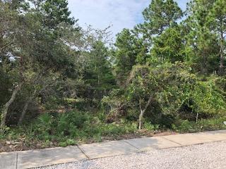 VILLAGE OF WHITE CLIFFS THE - Land