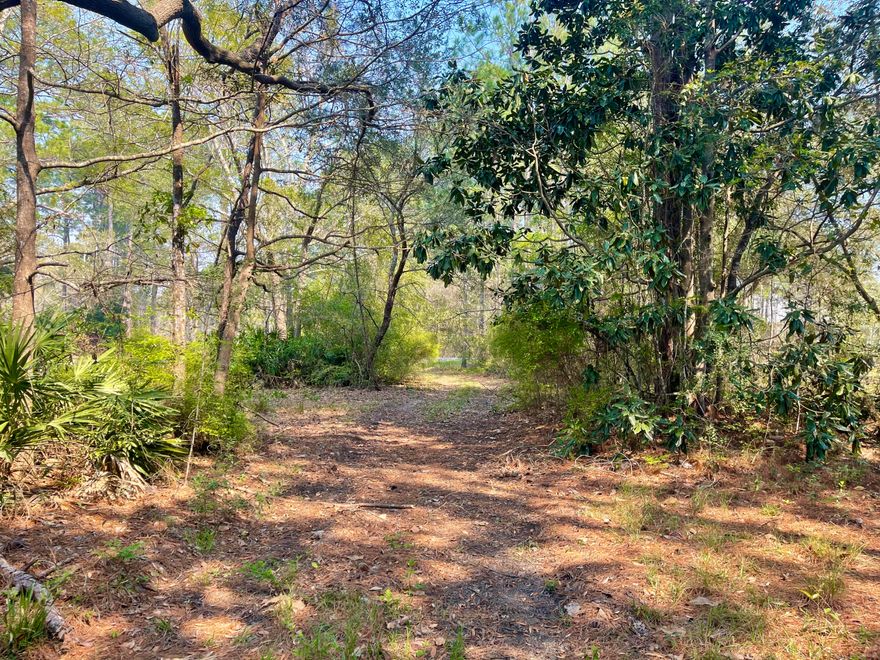 Beautiful large lot on Mallet Bayou with westerly sunset views with Freeport City water and sewer available .   The lot has a 152' of water frontage which includes a 15' easement on the right side of the lot.  Mallet Bayou goes out to Lagrange Bayou, out to Choctawhatchee Bay which has access to the Gulf of Mexico.  Approximately 15 minutes to the beaches of South Walton. There is an old well that is on the easement.