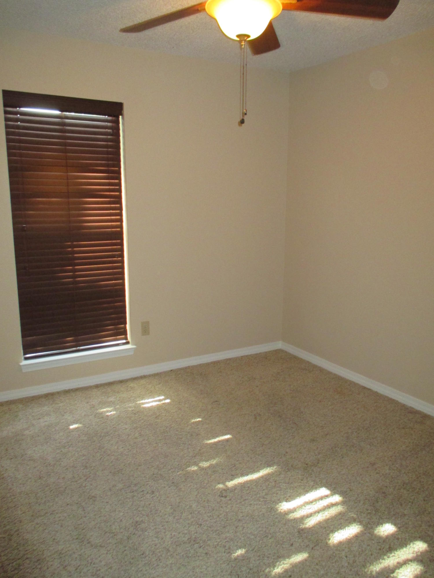 BLUE PINE VILLAGE AMENDED - Residential