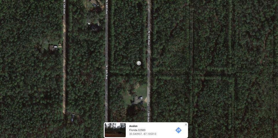 Wooded lot in Avalon Beach. Avalon beach has 3 boat launches: Archie Glover, Avalon Beach, and Indian Bayou. Area has easy access to Avalon Blvd, I-10, and Gulf Breeze. Lot will need to be cleared and utility request and tap fees paid. All information is deemed to be reliable, however, Buyer and/or Buyer's agent should conduct feasibility study and research zoning, planning, property use, tap fees, setbacks, and any other information needed, etc. before purchase.