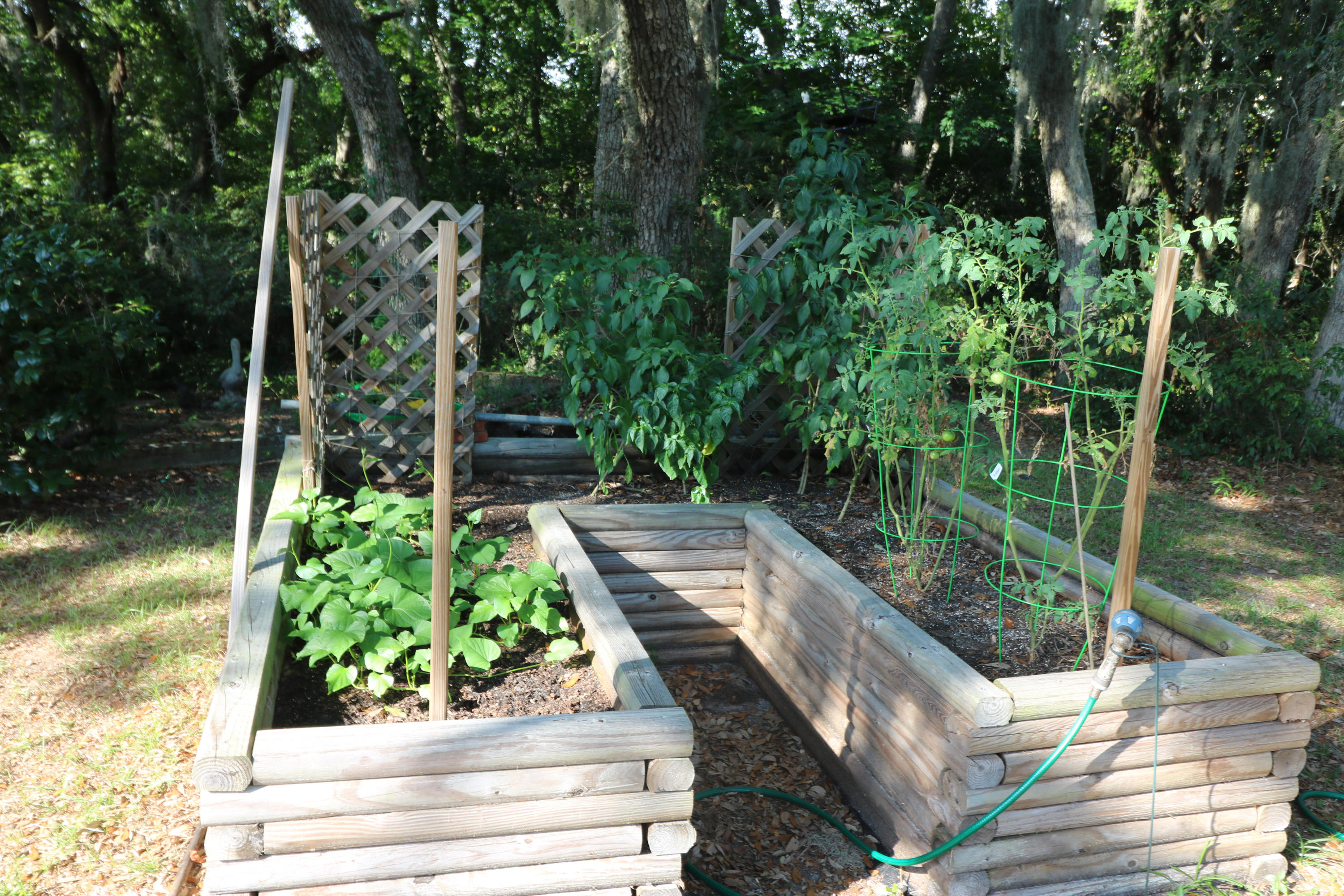 Imperial Oaks Ely - Residential